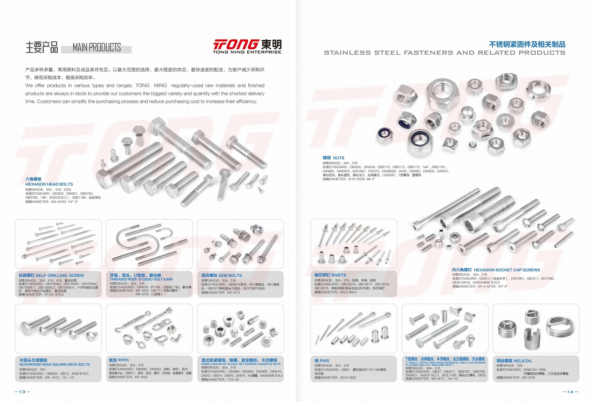Third-party published TONG product catalogue showing hex bolts, nuts, socket screws, rivets, threaded rods and related products